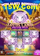 Casino Ao Vivo 9Dcom
